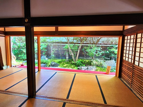 20240607_142254a.jpg (88900 バイト)