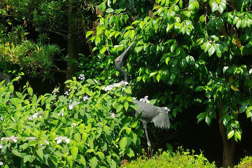 IMGP3169a.jpg (113610 バイト)