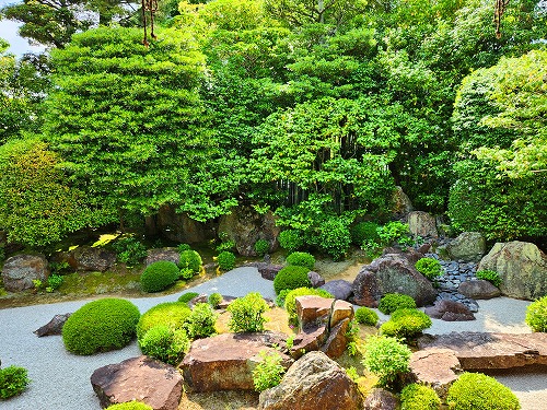 20240611_142813a.jpg (152780 バイト)