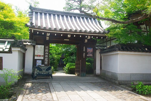 IMGP3180a.jpg (87562 バイト)