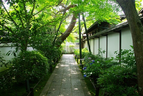 IMGP3183a.jpg (103996 バイト)