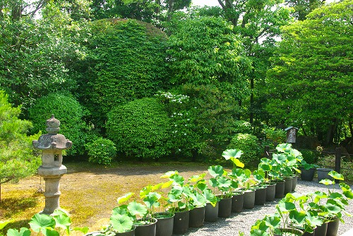 IMGP3196a.jpg (123284 バイト)