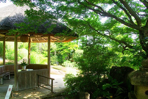 IMGP3212a.jpg (114603 バイト)