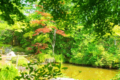 IMGP3217a.jpg (123717 バイト)