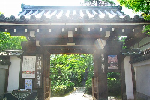 IMGP3239a.jpg (70772 バイト)