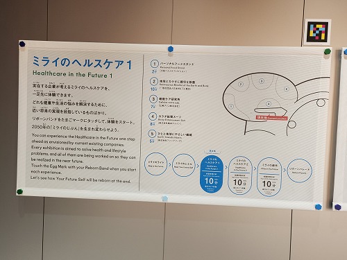 20250513_125147.jpg (54664 バイト)