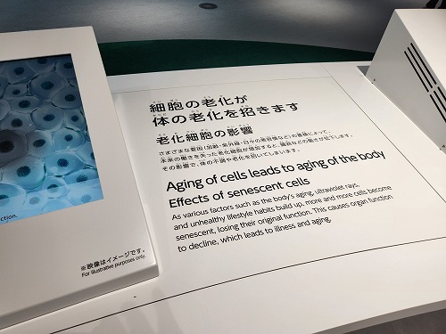 20250513_125758.jpg (56593 バイト)