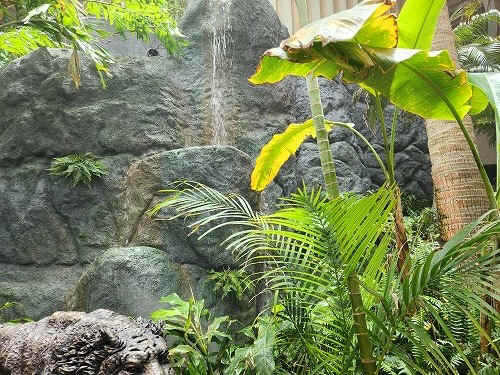 20250527_122051.jpg (122868 バイト)