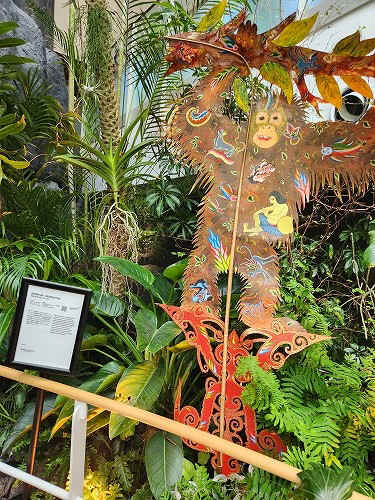 20250527_122124.jpg (135656 バイト)