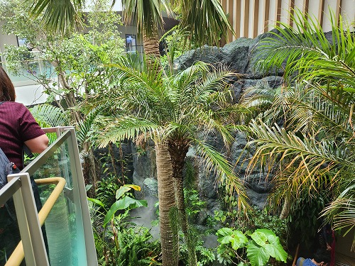 20250527_122801.jpg (135268 バイト)