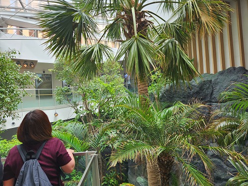 20250527_122803.jpg (124598 バイト)