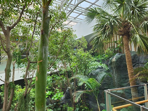 20250527_122813.jpg (132499 バイト)