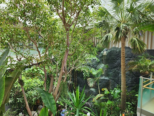 20250527_122821.jpg (143058 バイト)