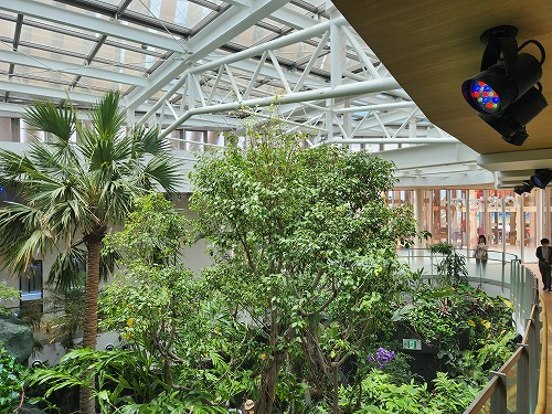 20250527_122911.jpg (124613 バイト)