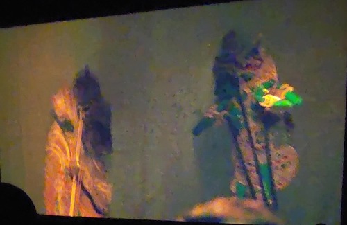 20250527_123323 - frame at 5m34s.jpg (34834 バイト)