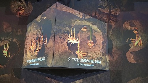 20250527_104046 - frame at 2m1s.jpg (54440 バイト)