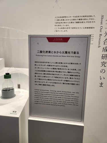 20250527_153535.jpg (50492 バイト)