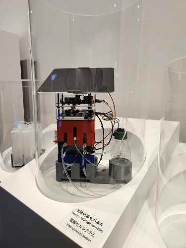 20250527_153548.jpg (44648 バイト)