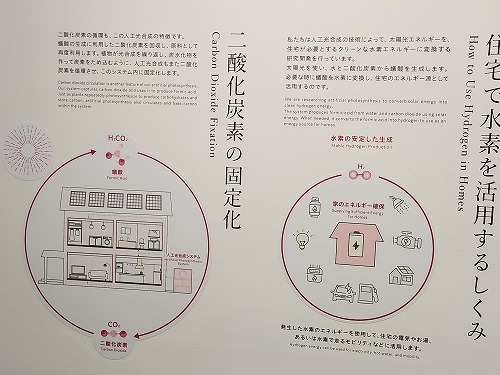 20250527_153651.jpg (63478 バイト)