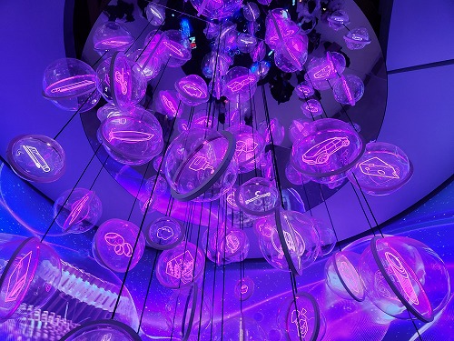 20250611_113241.jpg (97267 oCg)