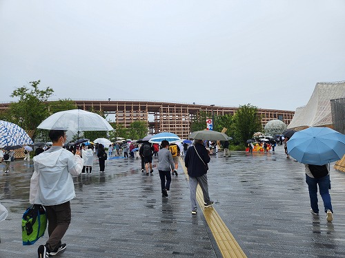 20250611_105500.jpg (69540 oCg)