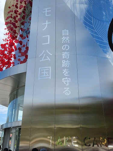 20250924_122906.jpg (58701 バイト)