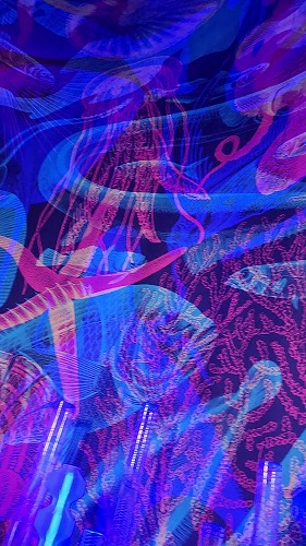 20250924_130617 - frame at 0m15s.jpg (76442 バイト)