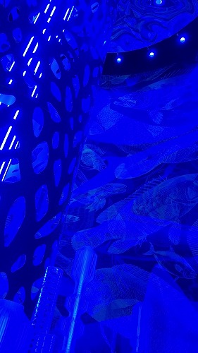20250924_130617 - frame at 0m44s.jpg (43031 バイト)