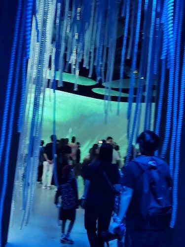 20251010_172416.jpg (66020 バイト)