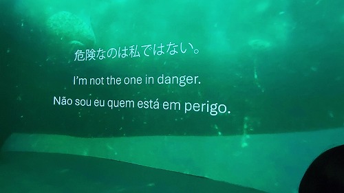 20251010_172503 - frame at 0m42s.jpg (28329 バイト)