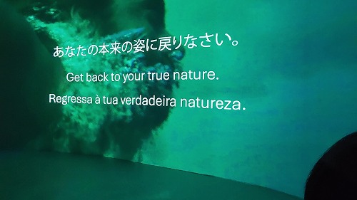 20251010_172503 - frame at 1m5s.jpg (33347 バイト)