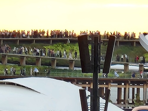 20251010_161903.jpg (51549 バイト)