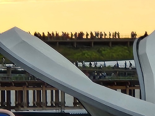 20251010_162520.jpg (43301 バイト)