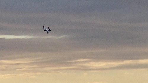 20251010_164142 - frame at 0m27s.jpg (27411 バイト)