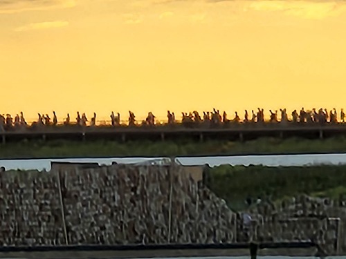 20251010_164759.jpg (39352 バイト)