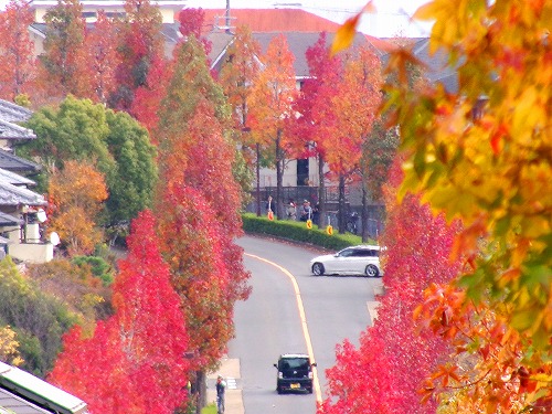 100_0342a.jpg (96725 バイト)