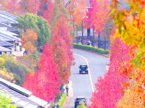 100_0343a.jpg (94139 バイト)