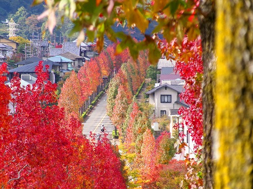 100_0346a.jpg (110660 �o�C�g)