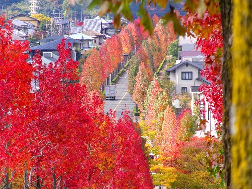 100_0348a.jpg (121965 �o�C�g)