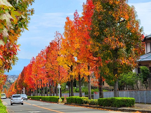 20251111_105319a.jpg (122441 �o�C�g)