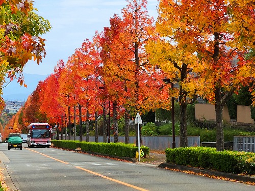 20251111_105357_001a.jpg (123655 バイト)