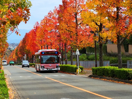 20251111_105402_001a.jpg (122694 �o�C�g)