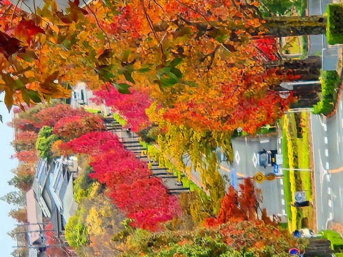 20251111_110652a.jpg (115474 �o�C�g)