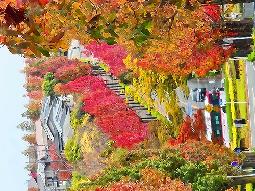 20251111_110655a.jpg (114434 �o�C�g)