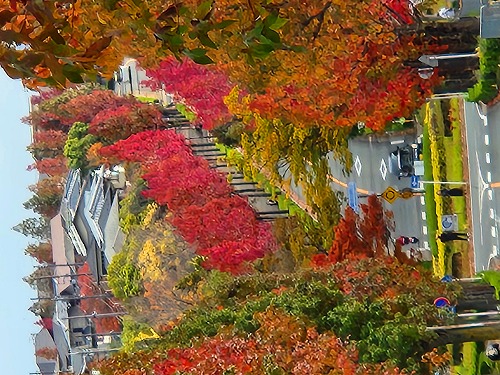 20251111_110703a.jpg (112606 �o�C�g)