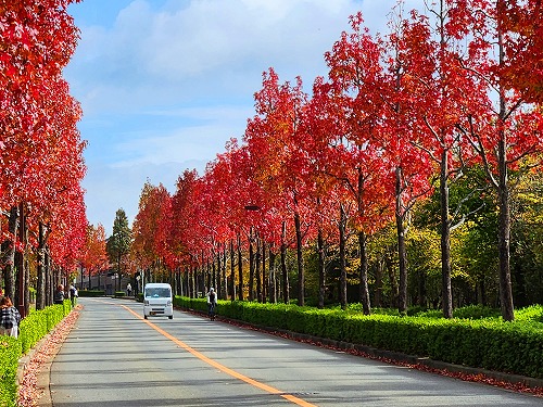 20251111_112231a.jpg (123712 �o�C�g)