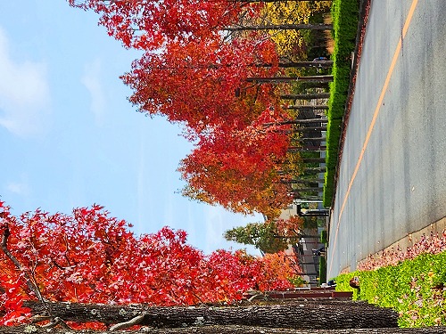 20251111_112511a.jpg (110426 �o�C�g)