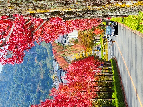 20251111_112728_001a.jpg (132920 �o�C�g)