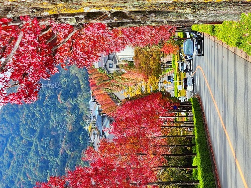 20251111_112735a.jpg (142919 �o�C�g)