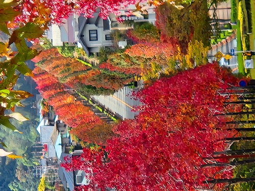 20251111_113712a.jpg (117834 �o�C�g)